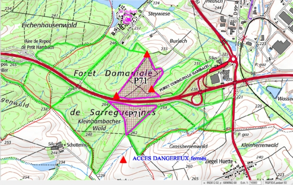 434-Coupe Forêt Domaniale P71.png 434-Coupe Forêt Domaniale P71.png