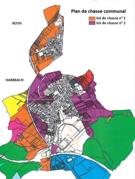 441-PLAN LOTS 1 et 2 de CHASSE.jpg 441-PLAN LOTS 1 et 2 de CHASSE.jpg